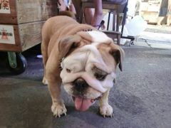 android_upload_pic-垦丁大街