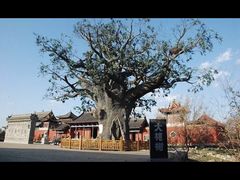 -大槐树寻根祭祖园
