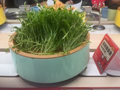-龍歌自助小火锅(市北台东利群店)