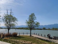 -野鸭湖国家湿地公园