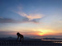 -珊瑚岛