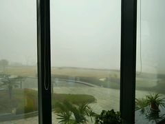 -青岛朗艺美术馆·海景咖啡