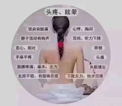 -香薇妮丝女子减肥院