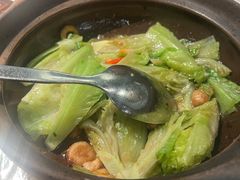 啫啫生菜煲-陶陶居·雅园(凯华国际店)