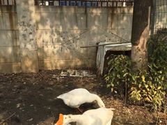 -漫渡庄绿岛花园•隐世庭园菜(滨湖店)