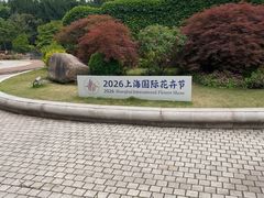 -嘉定紫藤园