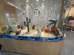 -BABIT巴比特宠物(MOMOPARK店)