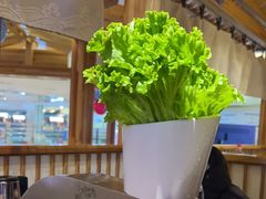 -九田家黑牛烤肉料理(石路天虹店)