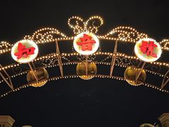 -武汉知音号