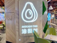 -油梨树AVOCADO TREE(嘉里中心店)
