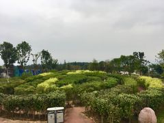 -铁山坪森林公园