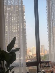 -LUNA皮相美·骨相美高级美感