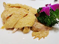 沙姜海蜇捞鸡-御彩酒家(东风东路店)