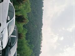 -王顺山国家森林公园