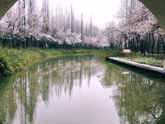 -洛阳市隋唐城遗址植物园
