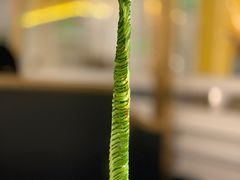 -城南往事(滨江世茂店)