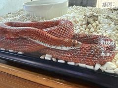 -春晖园度假酒店温泉