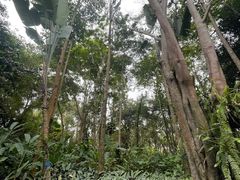 -中国科学院西双版纳热带植物园