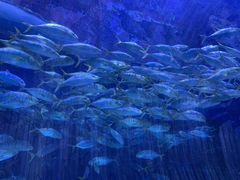 -华夏文旅西安度假区