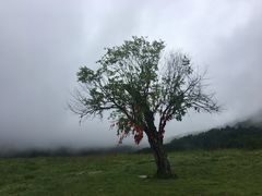 -硗碛藏寨·神木垒景区