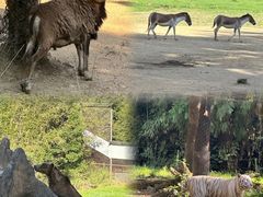 -杭州野生动物世界