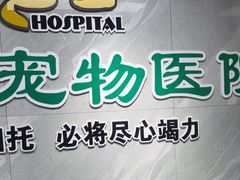 -半岛宠物医院24小时(白果林店)
