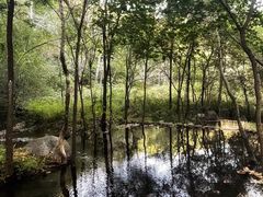 -玉渡山自然风景区