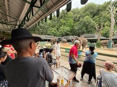-野象谷景区
