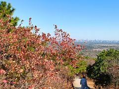 -北京西山国家森林公园
