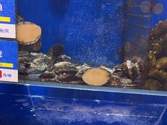 -船梆煮•蒸汽海鲜·生腌干蒸(五四广场店)
