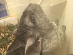 -龙猫仔乐园(惠福东路店)