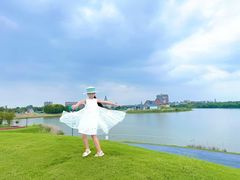 -荷兰花海