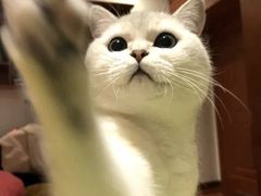 -荔康动物医院(康王北路店)