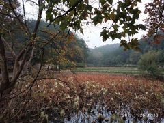 -韶山毛泽东同志故居