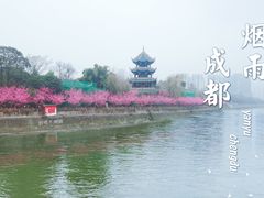 -望江楼公园