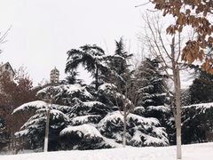 -甘井子公园