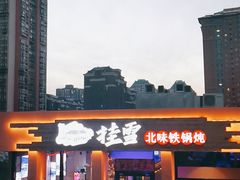 -挂雪铁锅炖大鹅