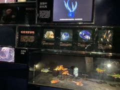 -同济大学四平路校区深海探索馆