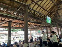 -野象谷景区