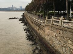 -野狸岛