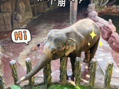 -长鹿旅游休博园