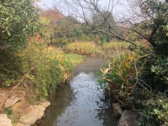 -桃花岛景观公园