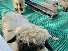 -水上乐园·欢乐世界