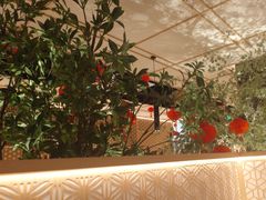 -德川家日本料理(顺义华联店)