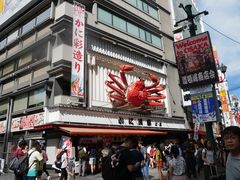 -蟹道乐(道顿堀本店)