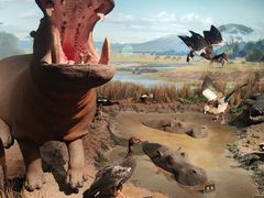 -陕西自然博物馆