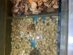 -集杰尚品海鲜烤肉自助餐厅(乳山振华店)