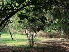 -重庆平顶山公园