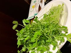 -南门涮肉(东单店)