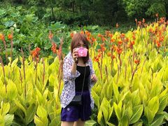 -艾溪湖湿地公园